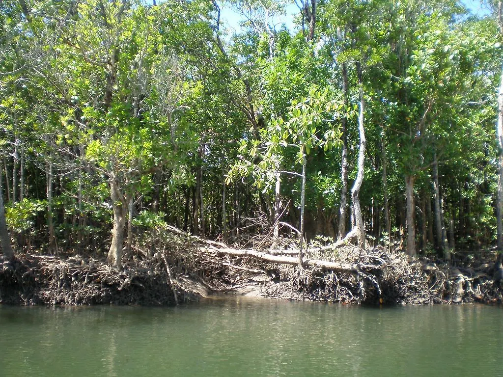 The Daintree Village Hideaway 3*,