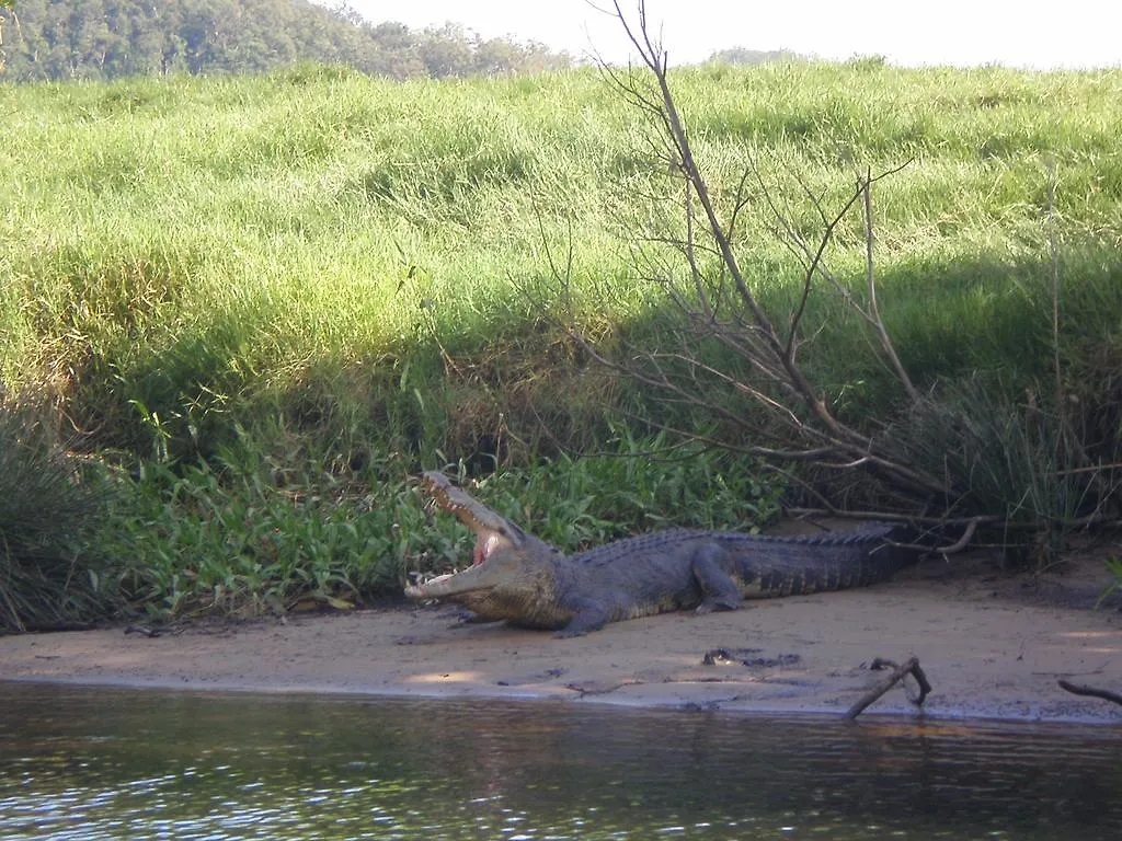 The Daintree Village Hideaway Отель типа 