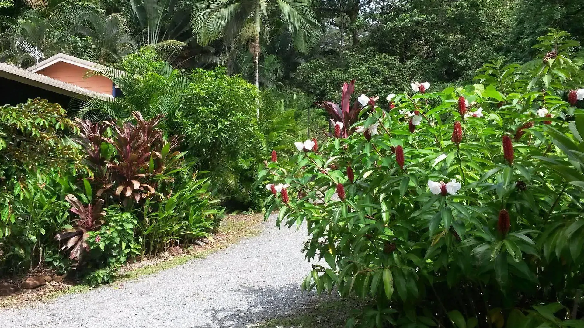 Daintree Village Hideaway Bed & Breakfast